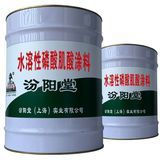 水溶性涂料 环保时代的绿色涂装选择